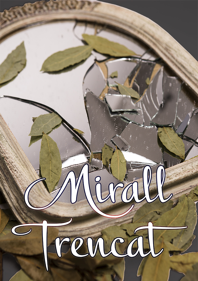 Mirall Trencat